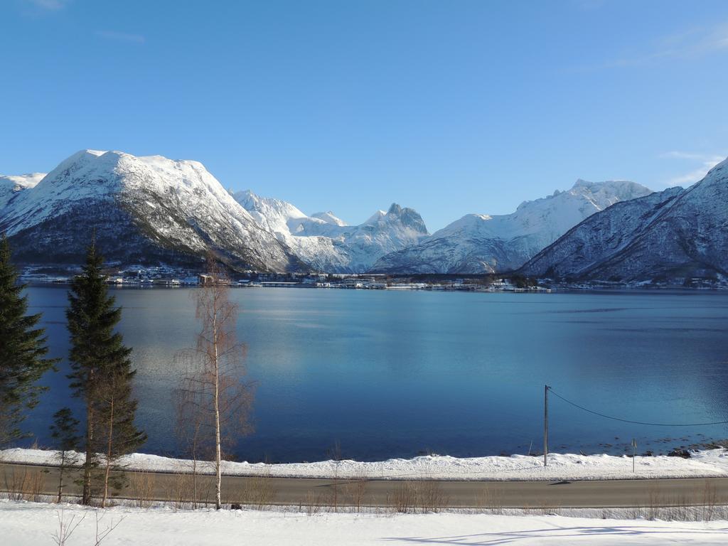 Villa Tindelykke Isfjorden Esterno foto